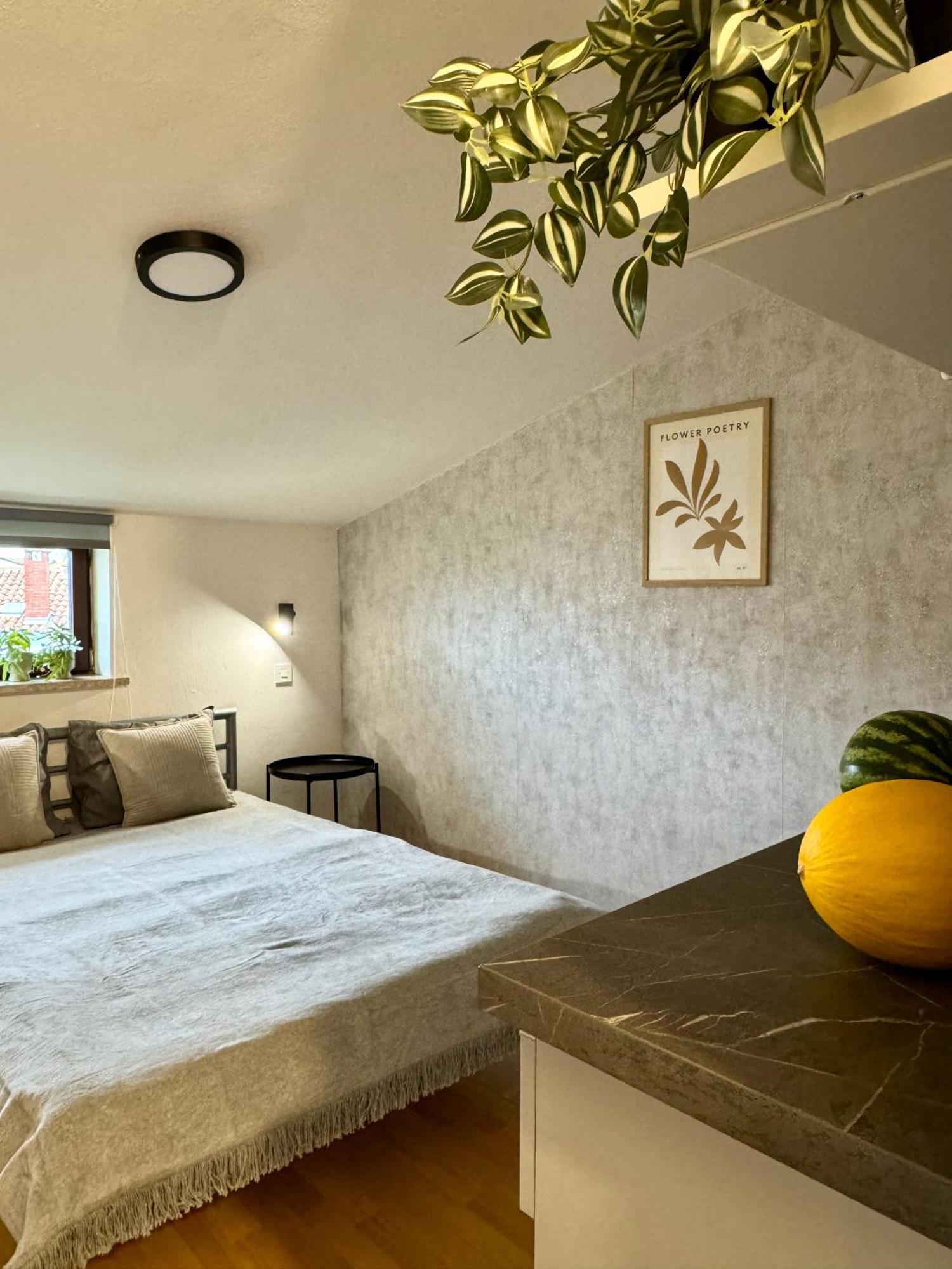 Apartments & Zimmer Jasmine 冯塔纳 外观 照片